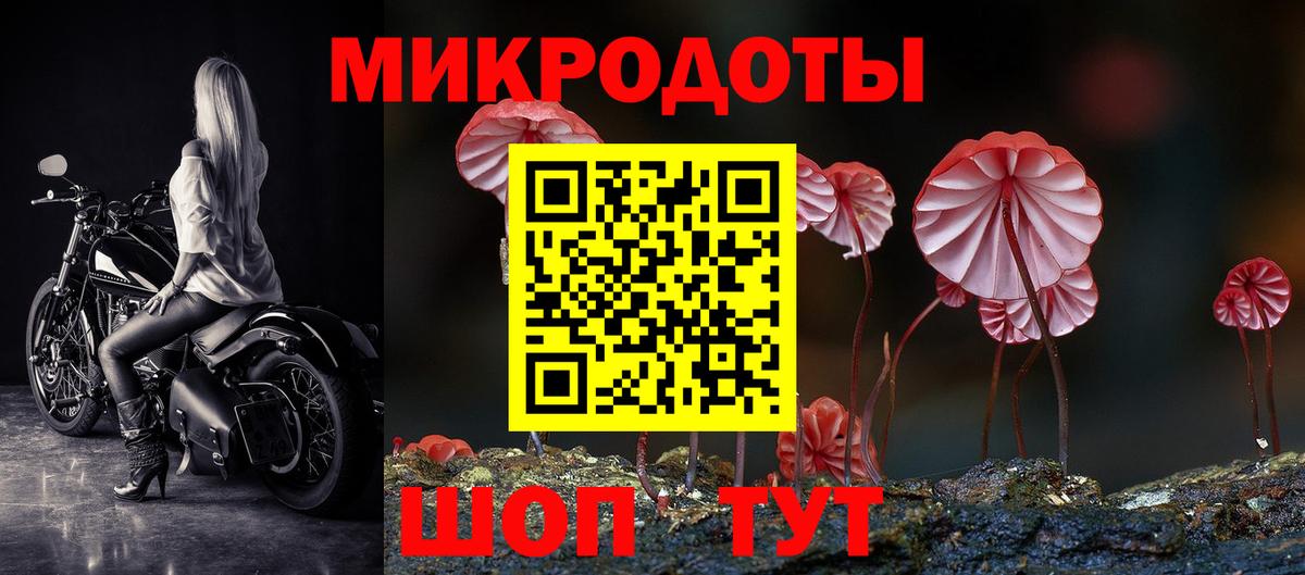 Арзамас  Псилоцибиновые грибы MAGIC MUSHROOMS  Вход с VPN 
